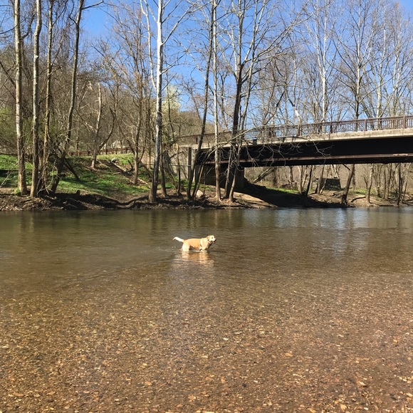 Meet your Posher, Jessica - Picture 1 of 1